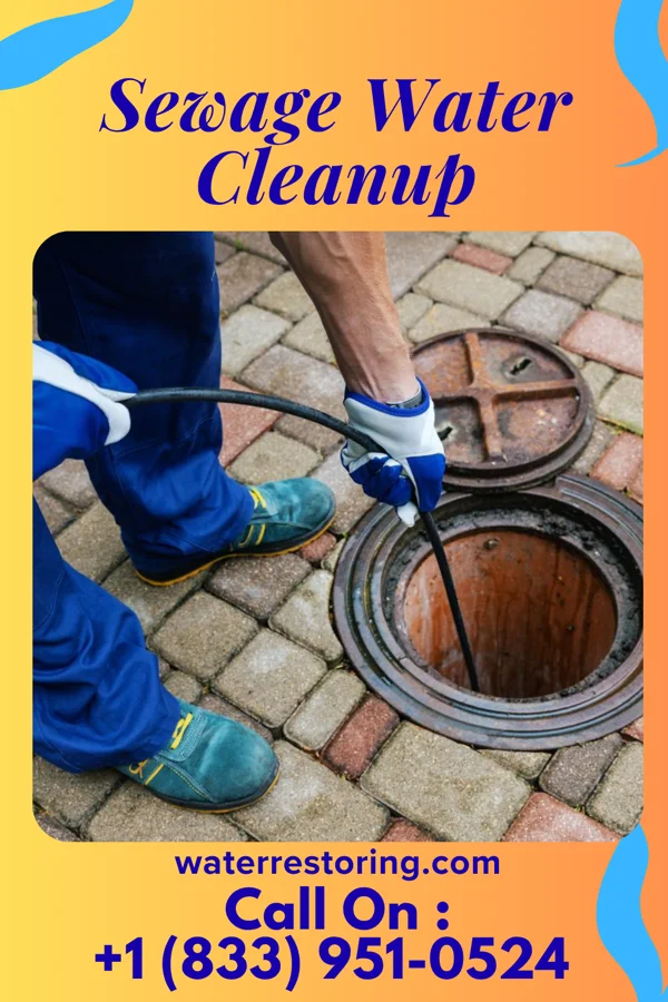 Sewage Water Cleanup in South Bend, NE