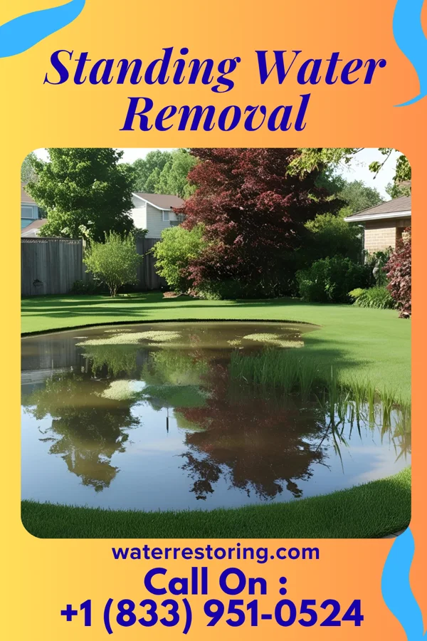 Standing Water Removal in South Bend, NE